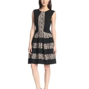 Eva Franco Black Fit-Flare WITH FLORAL LACE